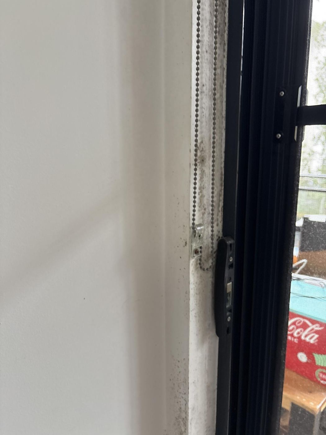 Window frame mould before drySafe remediation — Mannering Park