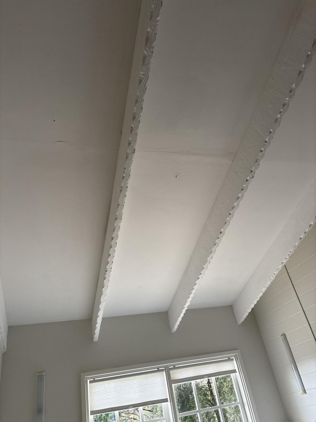 Raked ceiling treated and clear — Bradbury
