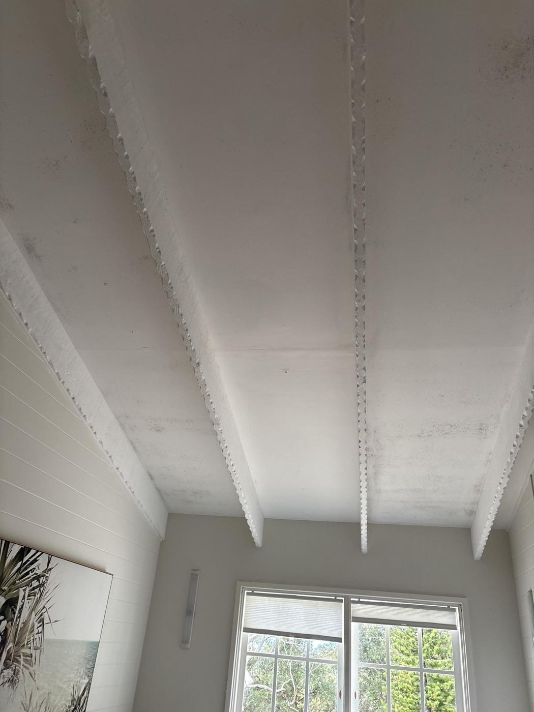 Raked ceiling and rafter mould before drySafe remediation — Bradbury