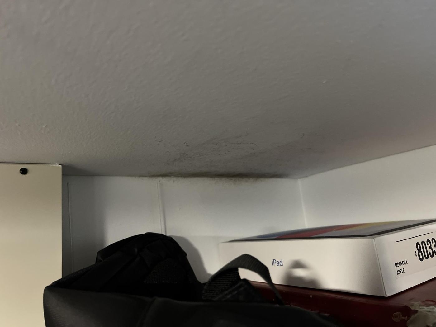 Cupboard ceiling corner mould before drySafe remediation — Arncliffe