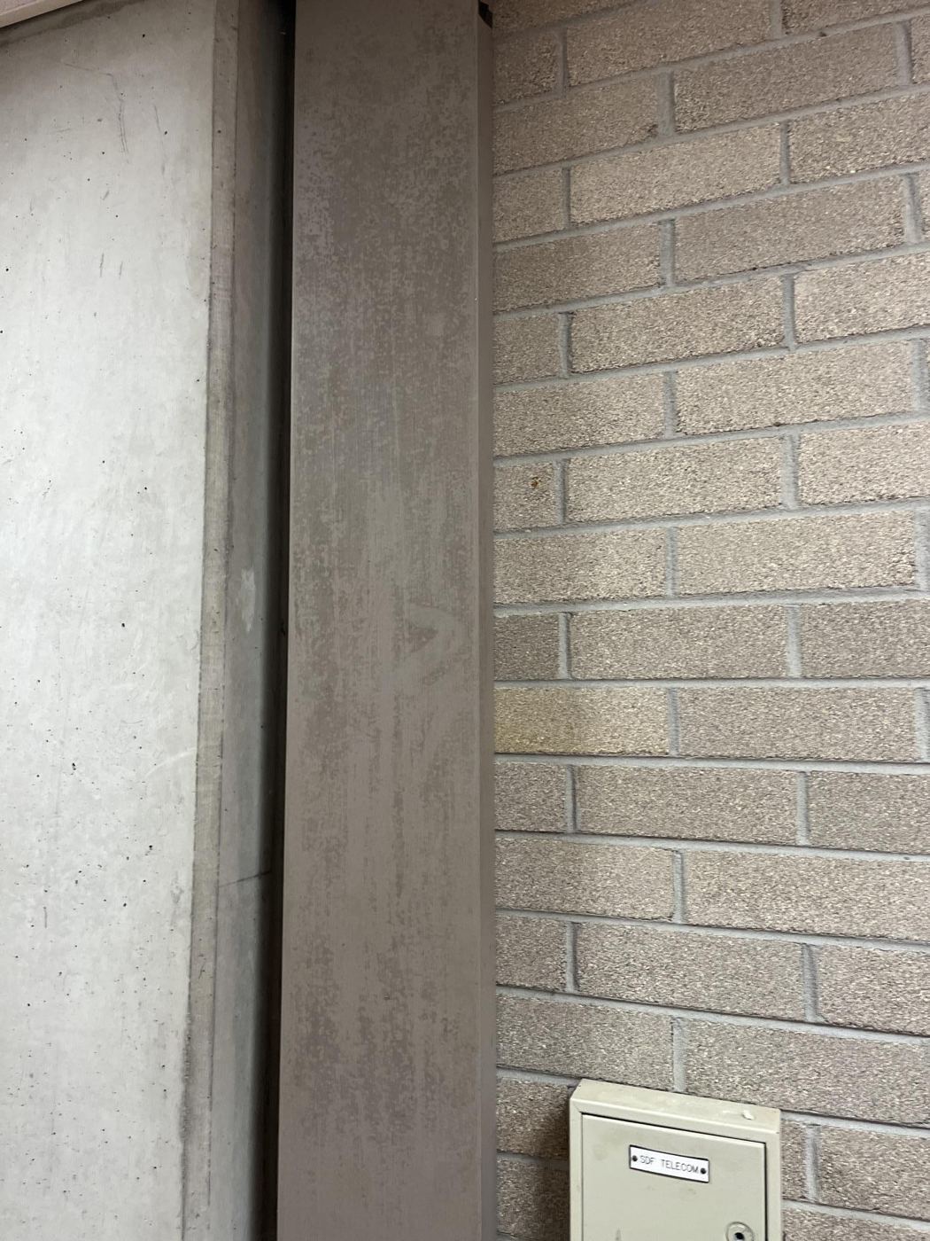 External column surface mould before drySafe remediation — Westmead
